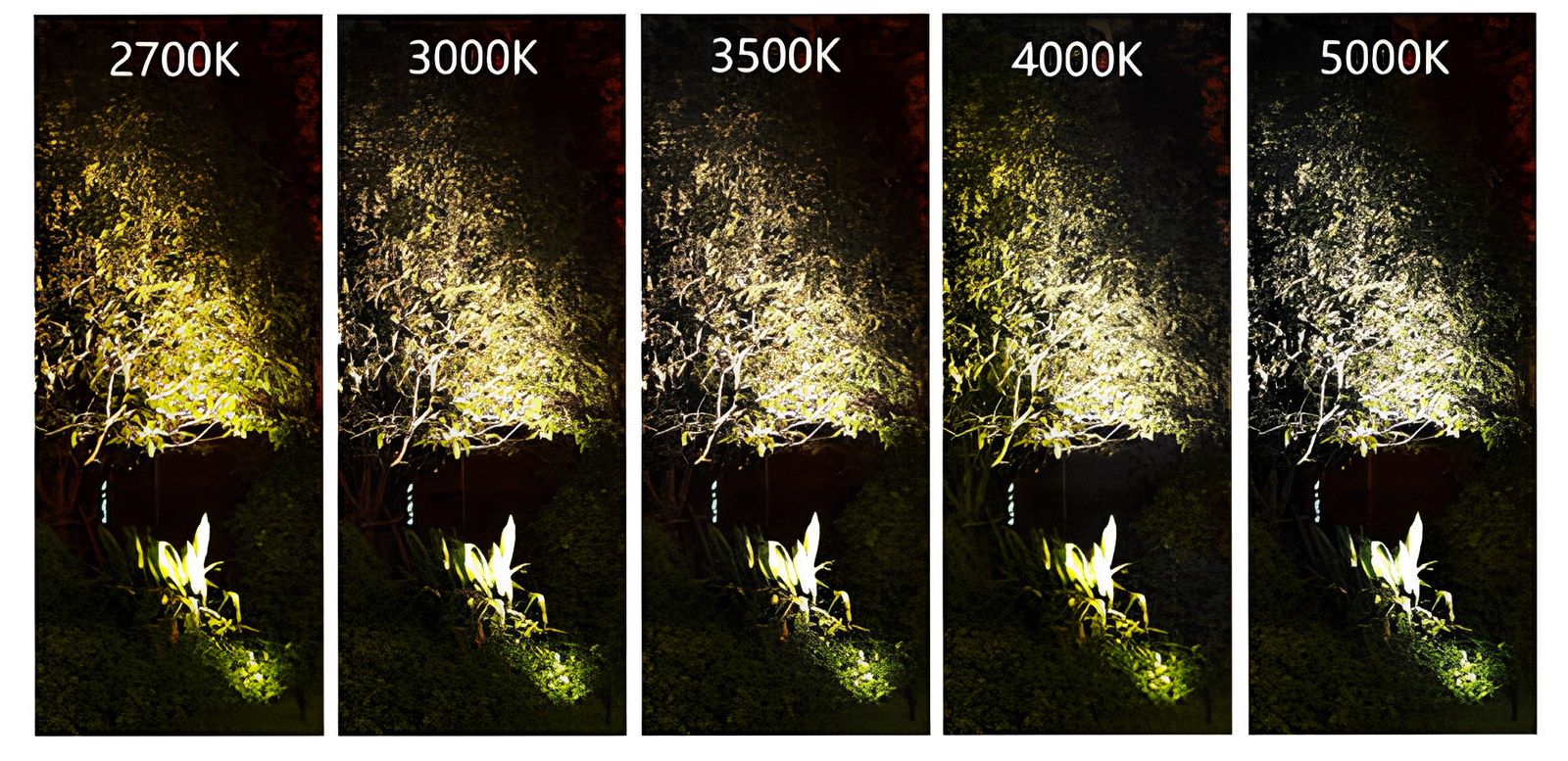 Deck Lighting Color Options: Choosing the Perfect Hue - Tru Scapes Deck ...
