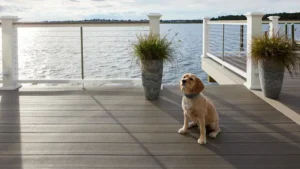 Blog 5 Deck Lighting for Pets